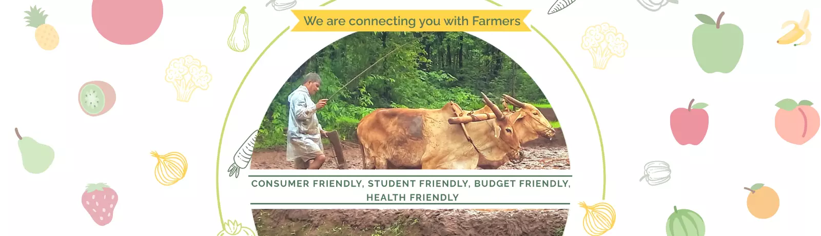 we are connecting you with farmers