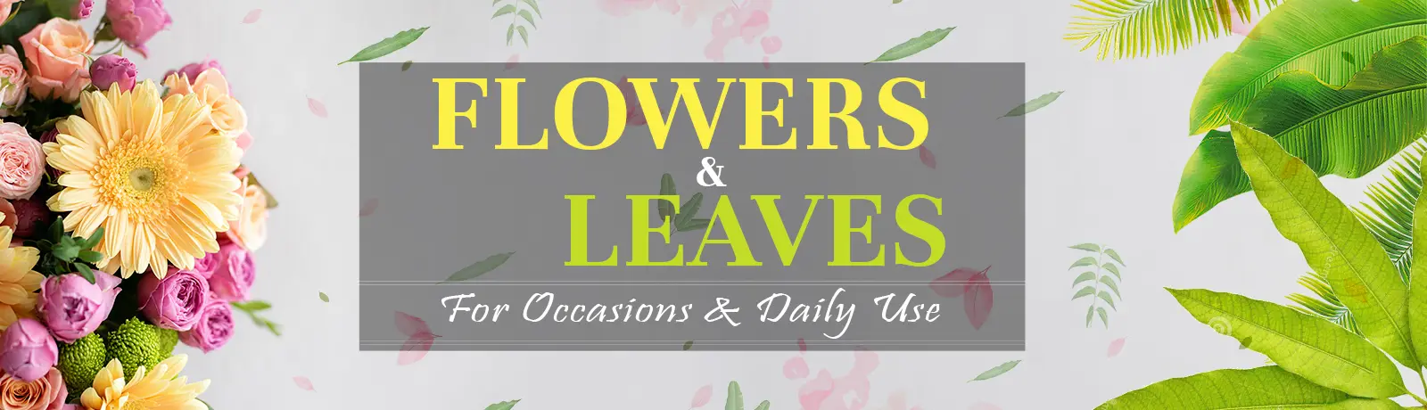 Flowers & Its uses in our Daily Life