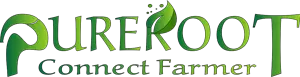 pureroot logo