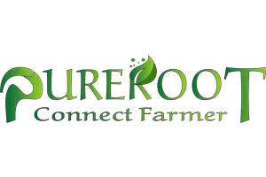 pureroot logo