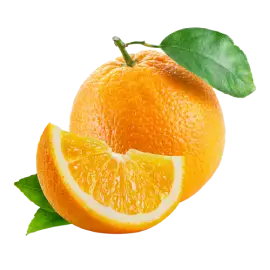 Fruits