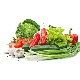 Vegetables