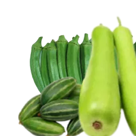 Seasonal Vegetables Seasonal Vegetables