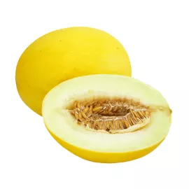 Sun melon shop