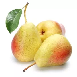 Beauty Pear - Imported