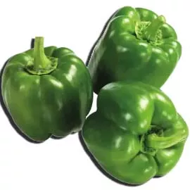 Green Capsicum (Shimla Mirch)