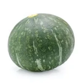Indian Green Pumpkin-Kaddu