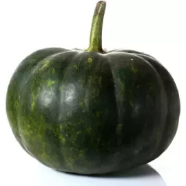 Indian Green Pumpkin-Kaddu