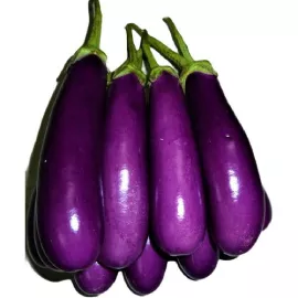 Long Purple Brinjal (Baigan)