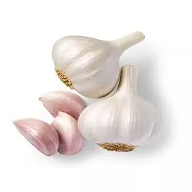 Garlic (Lehsun)
