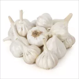 Garlic (Lehsun)
