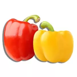 Capsicum Yellow