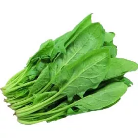  Spinach (Palak)
