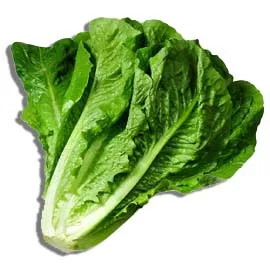 Vegetables