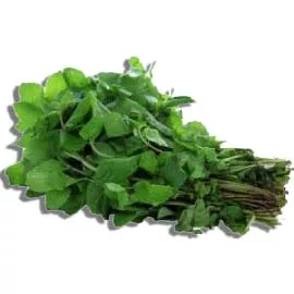 Mint Leaves (Pudina)