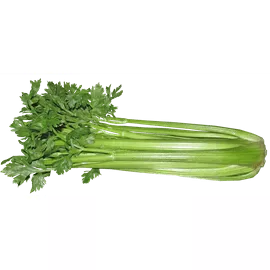 Celery