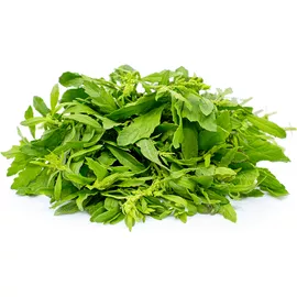 Chenopodium Leaves (Bathua)