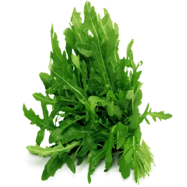 Arugula Arugula