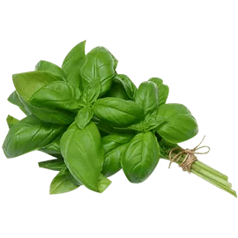 Vegetables