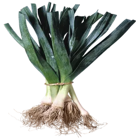 Vegetables