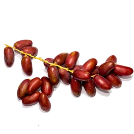 Red Fresh Dates