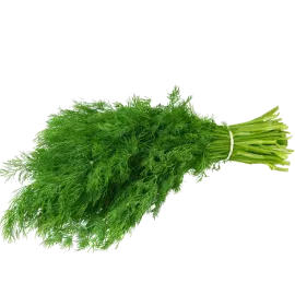 Dill Leaves (Soya Leaves)