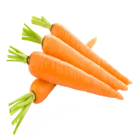 Ooty Carrot (Orange Carrot)
