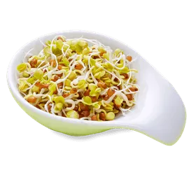 Vegetables