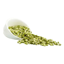 Vegetables