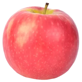 Apple Imported - American