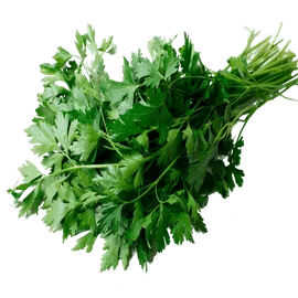 Parsley Parsley