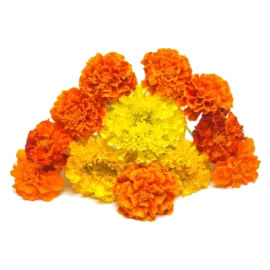 Marigold Flower (Genda Ka Phool)