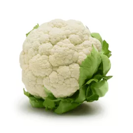  Cauliflower-Phool Gobhi Wholesale
