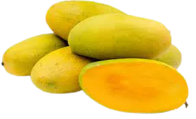 Dasheri Mango No 1 Quality