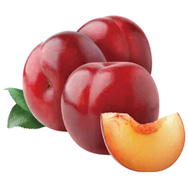 American Plum (Aloo Bukhara)