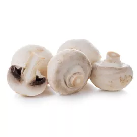 Mushrooms Premium Mushrooms Premium
