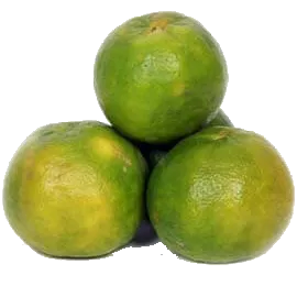 Nagpur Orange
