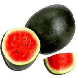 Watermelon-Tarbuj