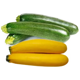 Zucchini-Mix Zucchini-Mix